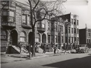 Barking Up The Muse Tree | jespah | Janet Gershen-Siegel | Brownstones | Crackerjack