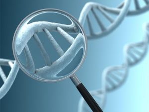 Barking Up The Muse Tree | jespah | Janet Gershen-Siegel | The DNA of a blog | Housekeeping