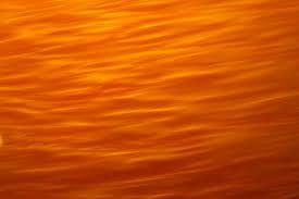 Barking up the Muse Tree | jespah | Janet Gershen-Siegel | Orange Sky