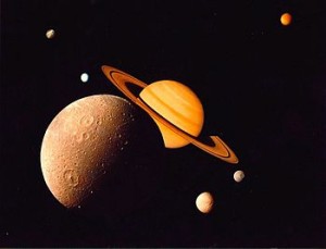 Barking Up the Muse Tree | jespah | Janet Gershen-Siegel | Saturn System